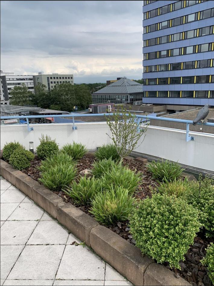 Im Herzen Von Wiesdorf- Blick Auf Das Bayer-Kreuz -Appartement Mit 2 Schlafzimmern-Fuer 3 Personen -Zentral Gelegen - Friedrich Ebert Platz 5A , 4Te Etage - Dachterrasse Und Sauna - Kaution Pflicht - Леверкузен Екстер'єр фото